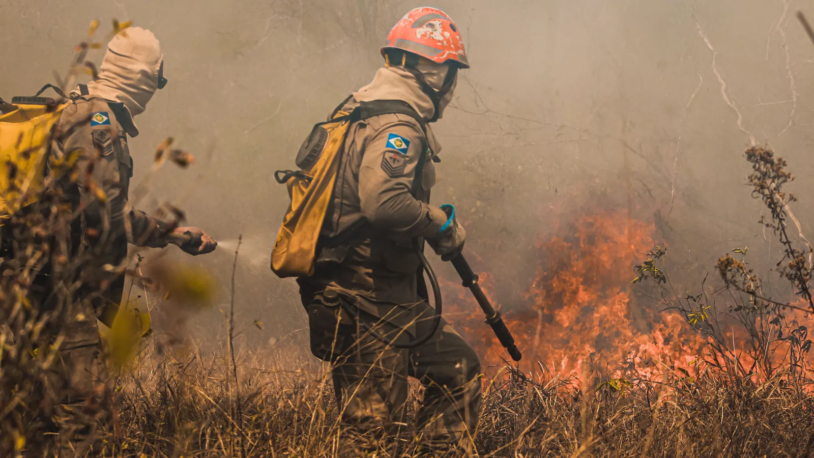 Brigadistas combatendo incêndio florestal, referência a eventos climáticos extremos